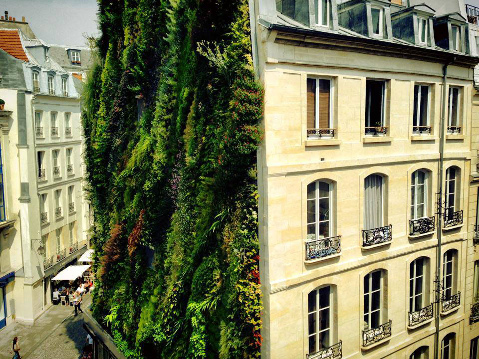 loasis-daboukir-by-patrick-blanc-12