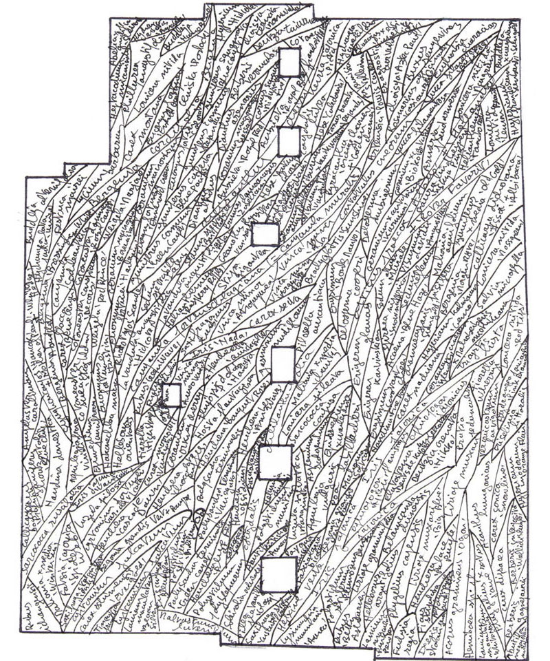loasis-daboukir-by-patrick-blanc-16