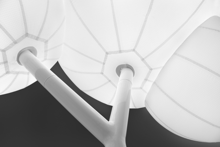 tree-of-light-15
