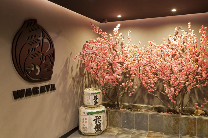 wagaya-japanese-restaurant-12