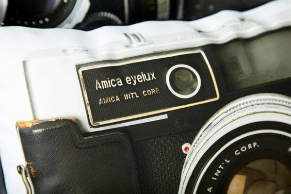 printed-canvas-pillows-2