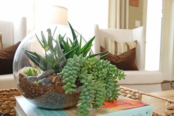decorating-interior-with-houseplants-20