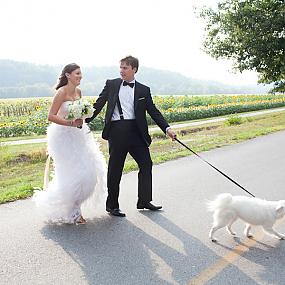 dog-at-a-wedding-01