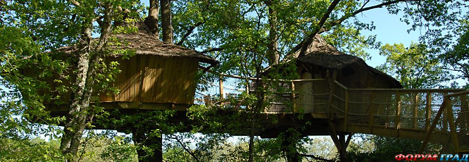 Отель Tree Houses Alicourts