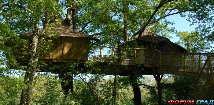 tree-houses-alicourts-05