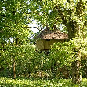 tree-houses-alicourts-12