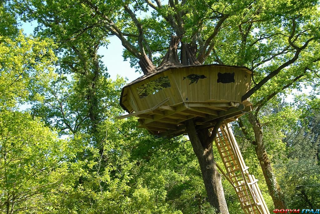 Отель Tree Houses Alicourts