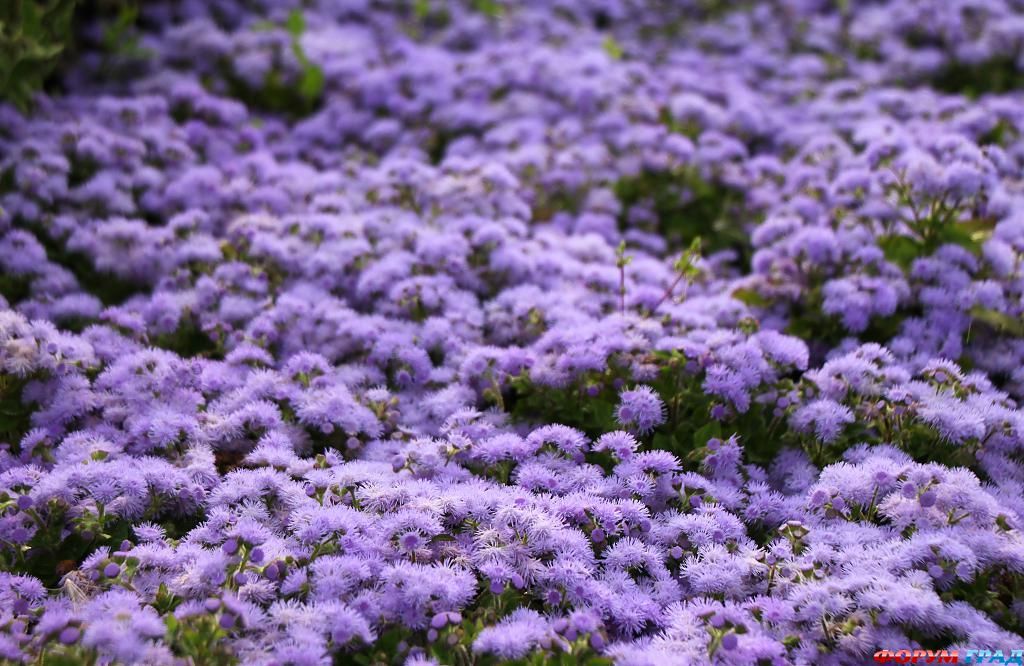 В гостях у сказки
