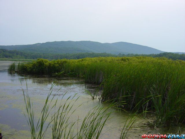 Курорт Аркутино