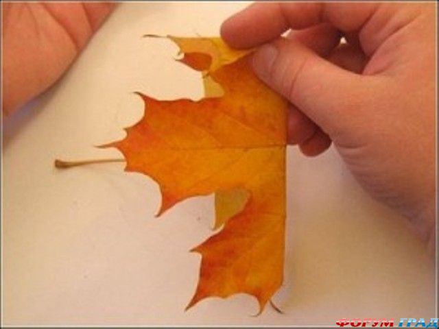 Розы из кленовых листьев