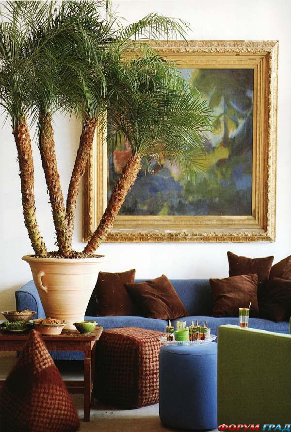 Крупные растения