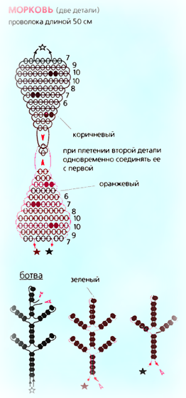 Morkov-2