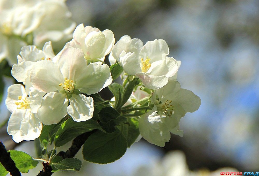 В гостях у сказки