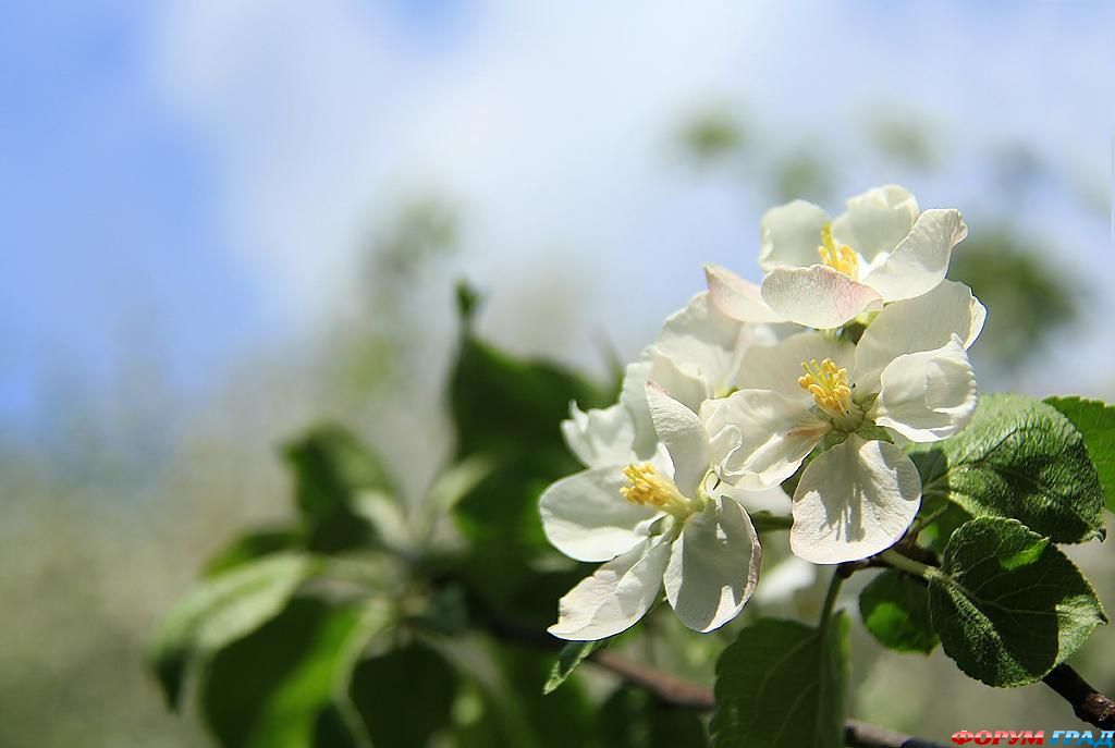 В гостях у сказки
