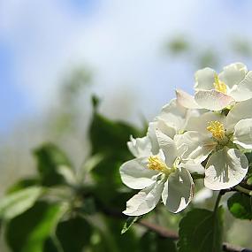 В гостях у сказки