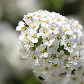 В гостях у сказки