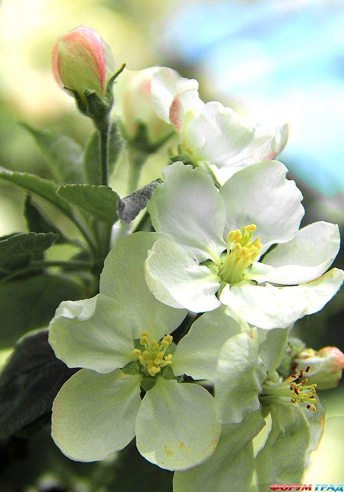 В гостях у сказки