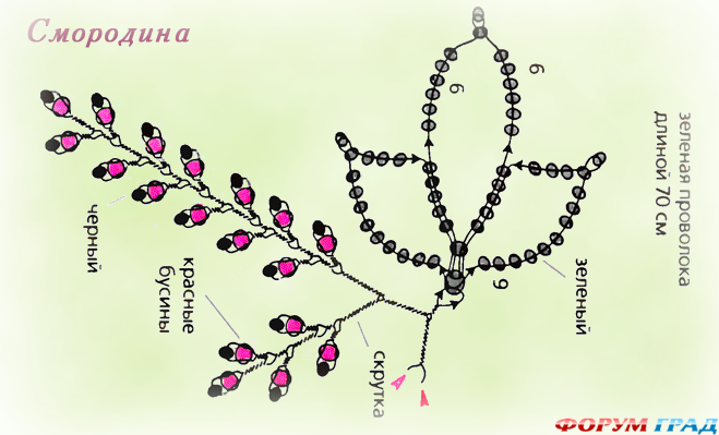 Smorodina-2