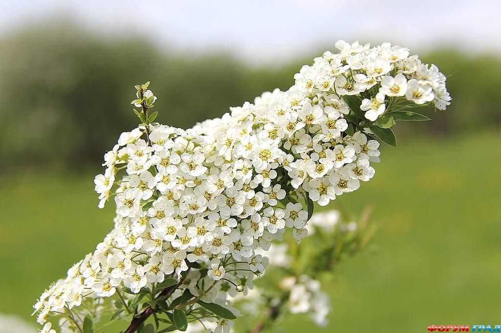 В гостях у сказки