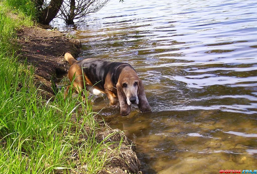 В гостях у сказки