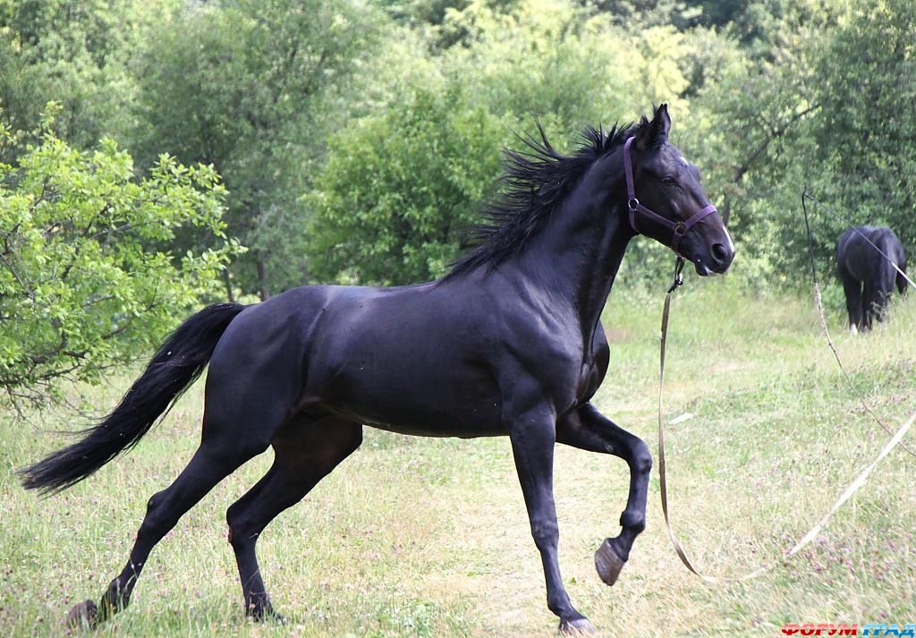 В гостях у сказки