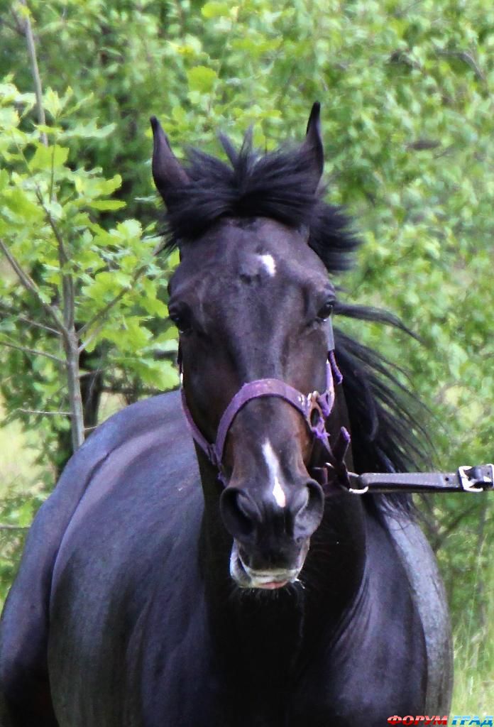 В гостях у сказки