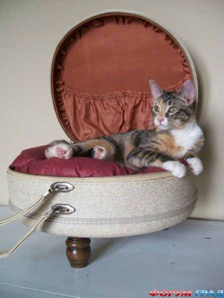 Новые идеи для старых чемоданов.