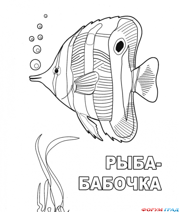 Раскраска - семейный аквариум