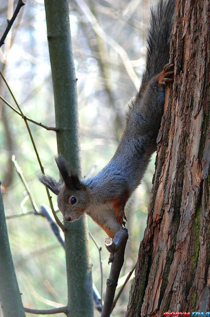 В гостях у сказки