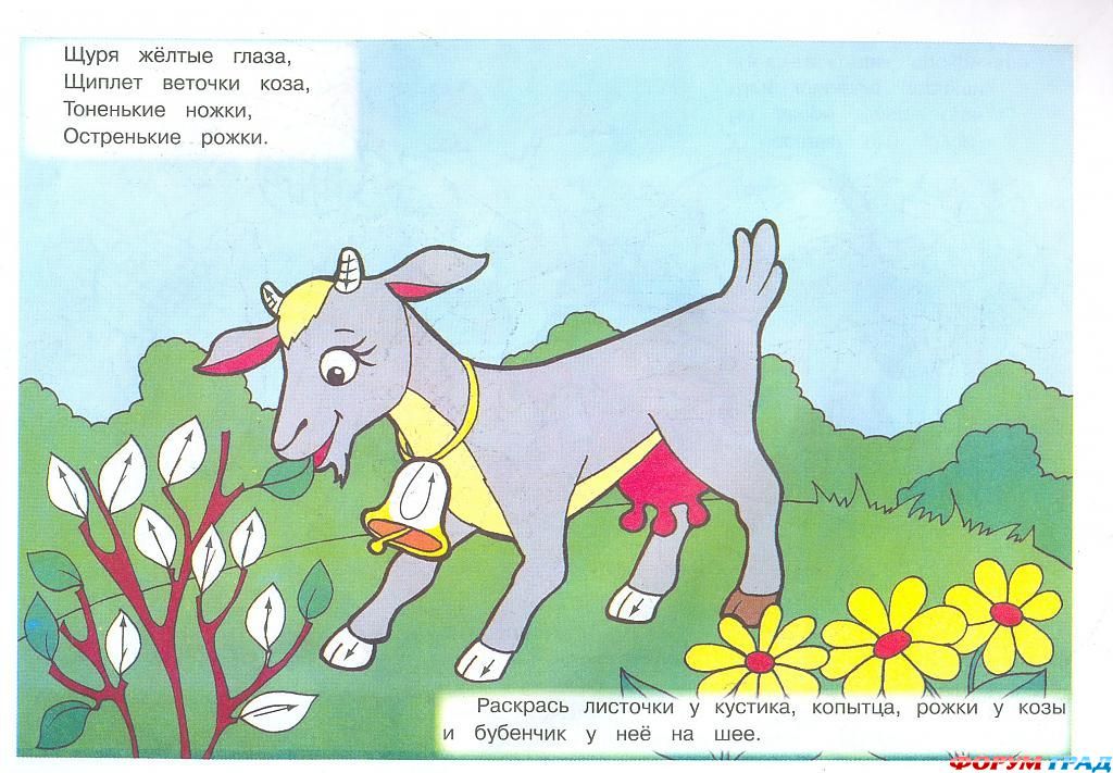 Талантливый малыш - Любимые питомцы