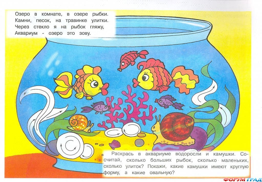 Талантливый малыш - Любимые питомцы