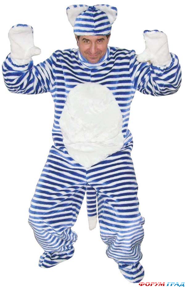 костюм кошки