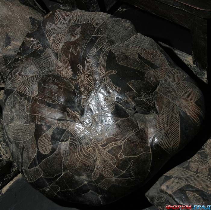 история пластической хирургии