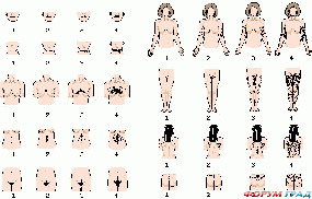 4 степени гирсутизма у женщин