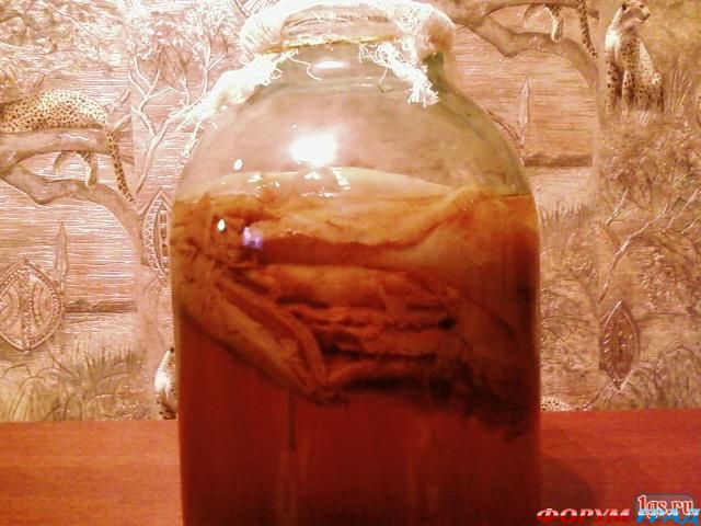 лечение пяточных шпор, фитотерапия