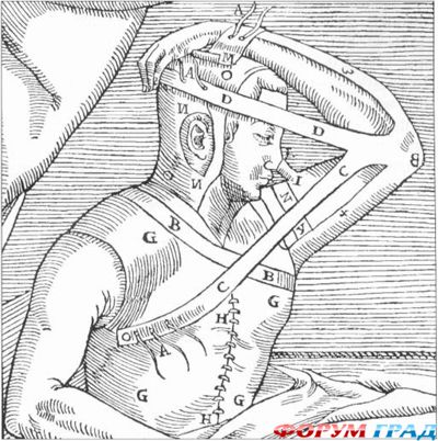 история пластической хирургии