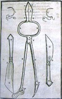 история пластической хирургии