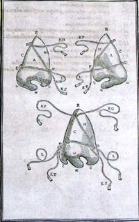история пластической хирургии