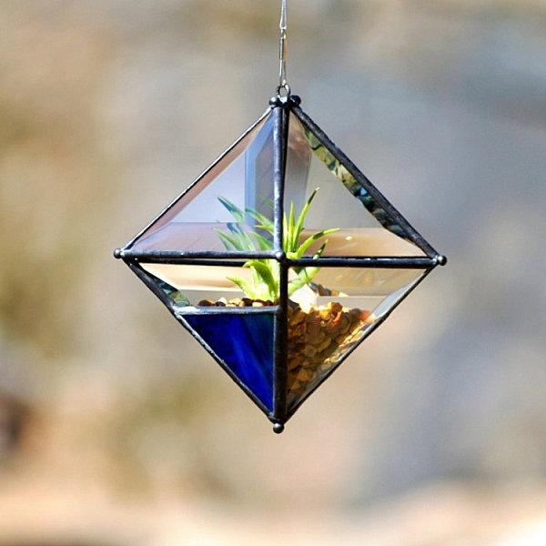 air-plants-display-ideas-1