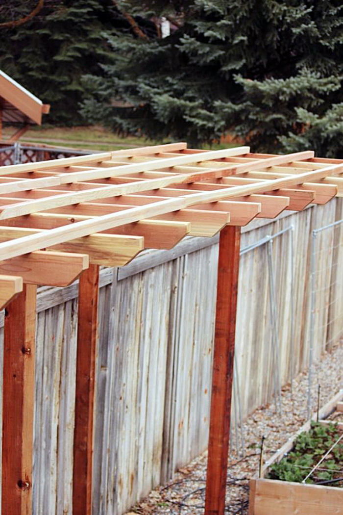 build-grape-arbor-step-20