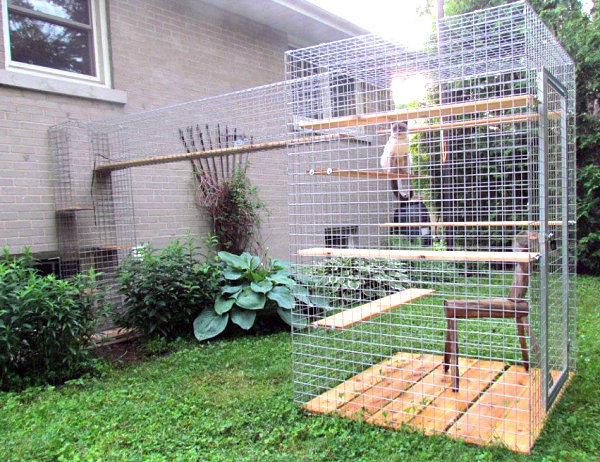 catio-outdoor-cat-enclosures-4