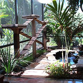 catio-outdoor-cat-enclosures-7