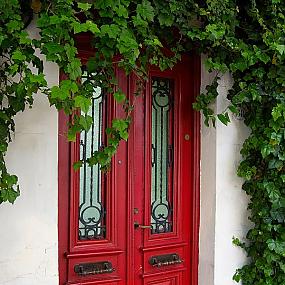 cool-painted-front-doors-5
