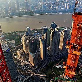 crane-shanghai-wei-gensheng-12