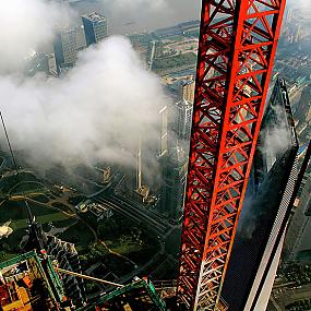 crane-shanghai-wei-gensheng-4