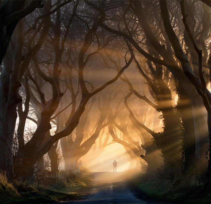 dark-hedges-northern-ireland-1