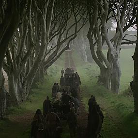 dark-hedges-northern-ireland-12