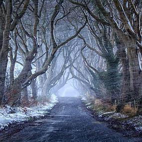 dark-hedges-northern-ireland-3