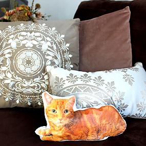 diy-custom-cat-pillow-1
