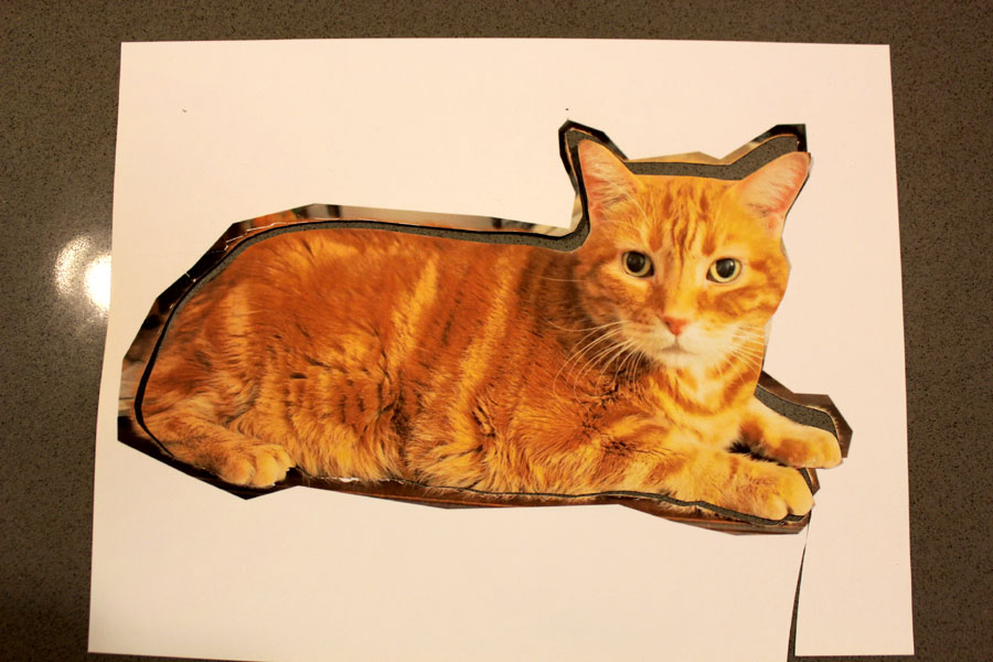 diy-custom-cat-pillow-3